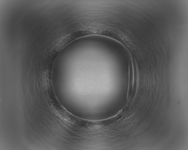 X0000054460594200507291350