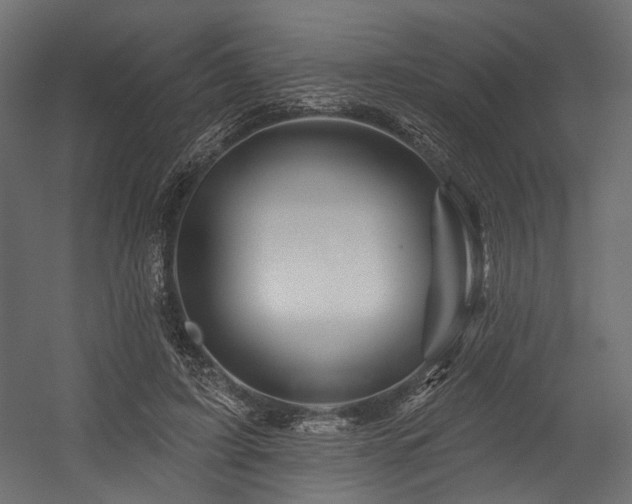 X0000054460595200507291350