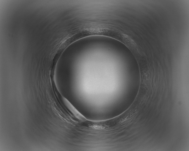 X0000054460596200507291350