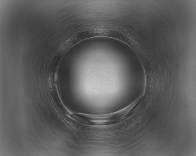 X0000054460597200507291350