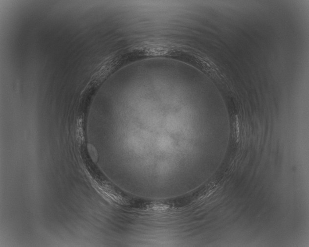 X0000054460598200507291350