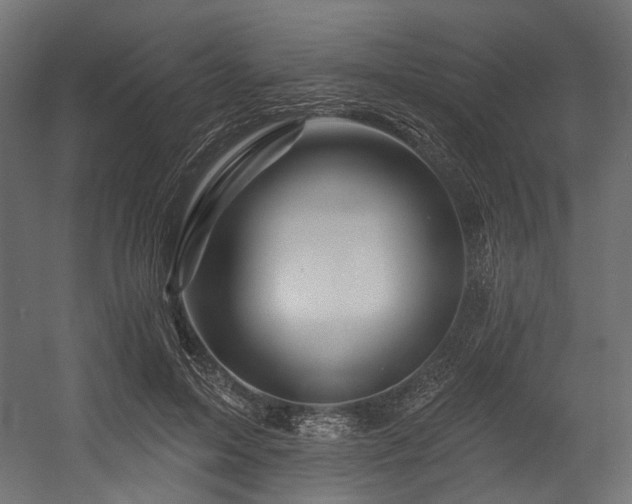 X0000054460599200507291350