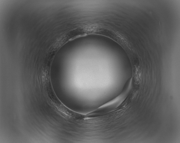 X0000054460601200507291350