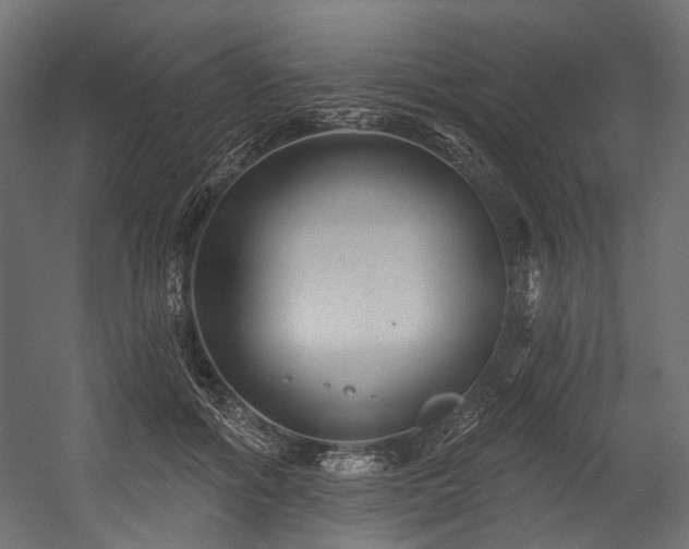 X0000054460602200507291350