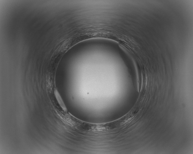 X0000054460607200507291350