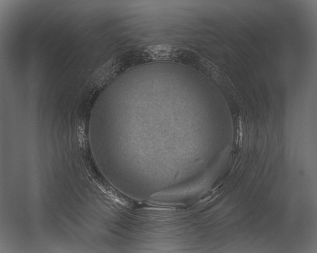 X0000054460610200507291350