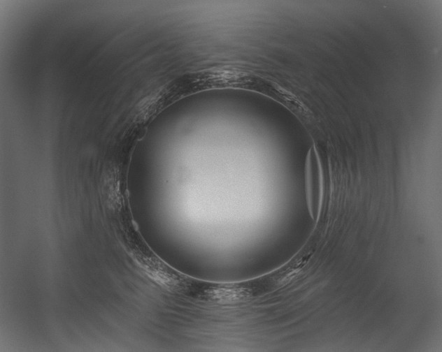 X0000054460615200507291350