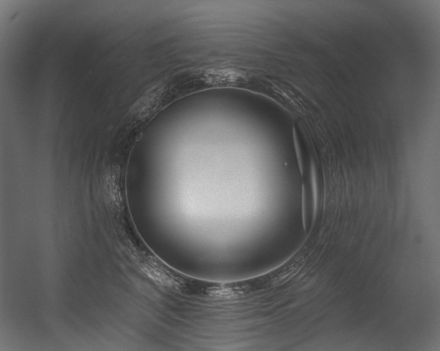 X0000054460616200507291350