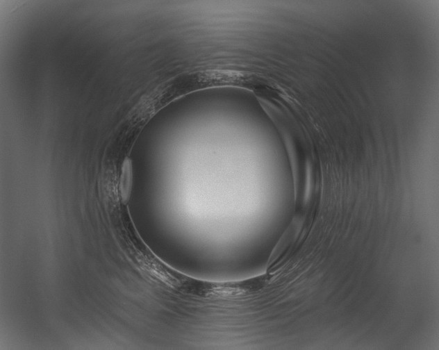 X0000054460617200507291350