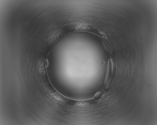 X0000054460619200507291350