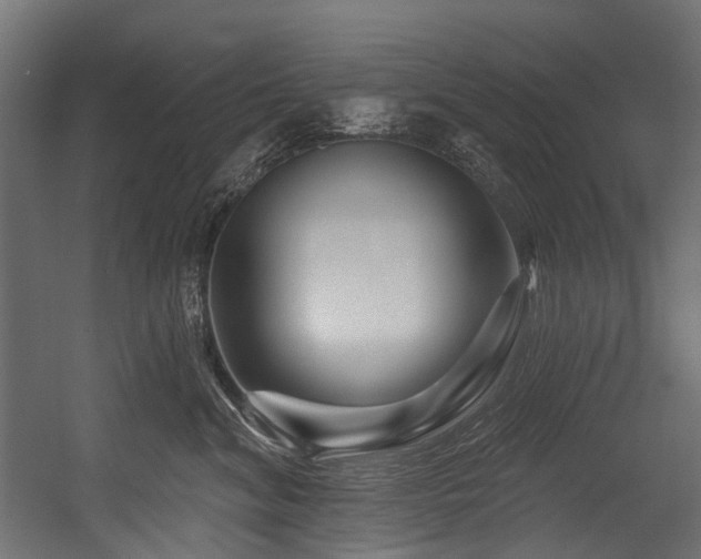 X0000054460620200507291350