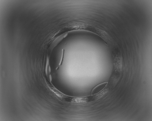 X0000054460622200507291350