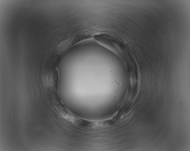 X0000054460623200507291350