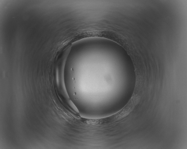 X0000054460624200507291350