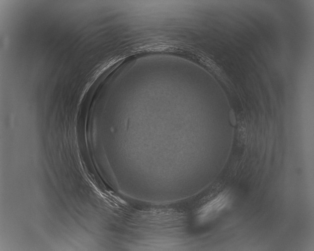 X0000054460626200507291349