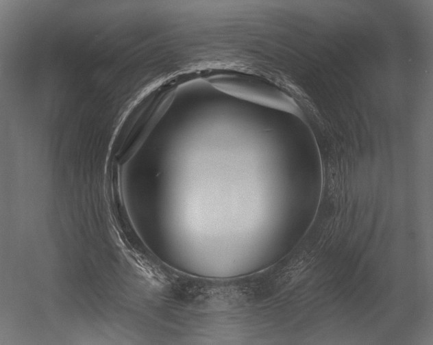 X0000054460628200507291349