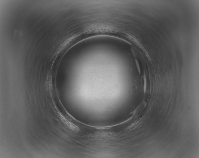 X0000054460629200507291349