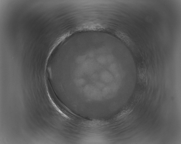 X0000054460630200507291349