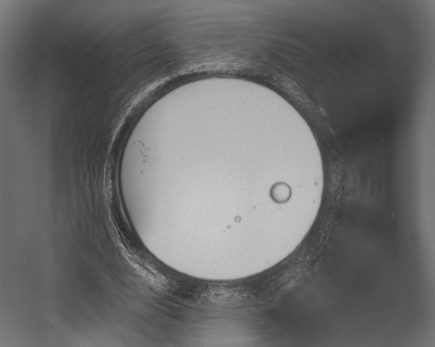 X0000054460632200507291349