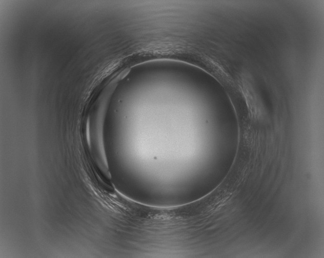 X0000054460635200507291349