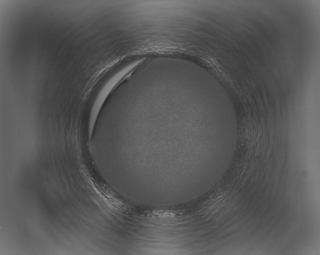 X0000054460640200507291349