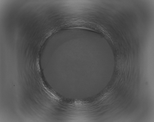 X0000054460641200507291349