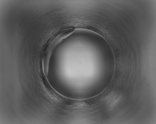 X0000054460642200507291349