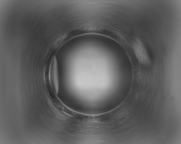 X0000054460643200507291349