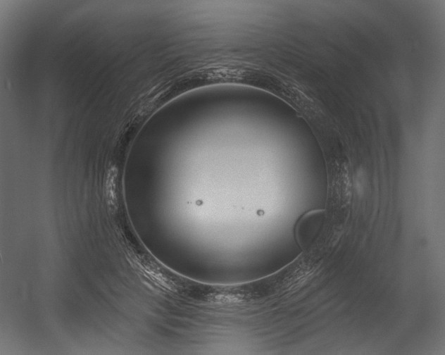 X0000054460649200507291349