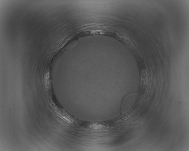 X0000054460650200507291349