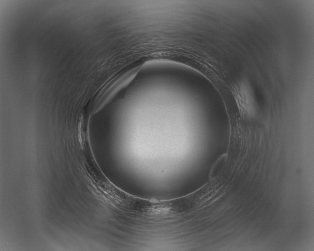 X0000054460651200507291349