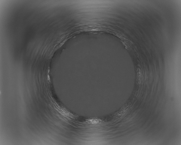 X0000054460654200507291349