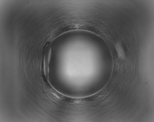 X0000054460657200507291349