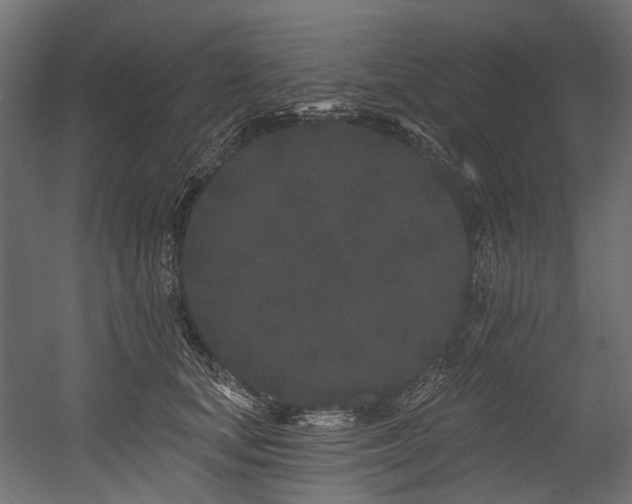 X0000054460659200507291349