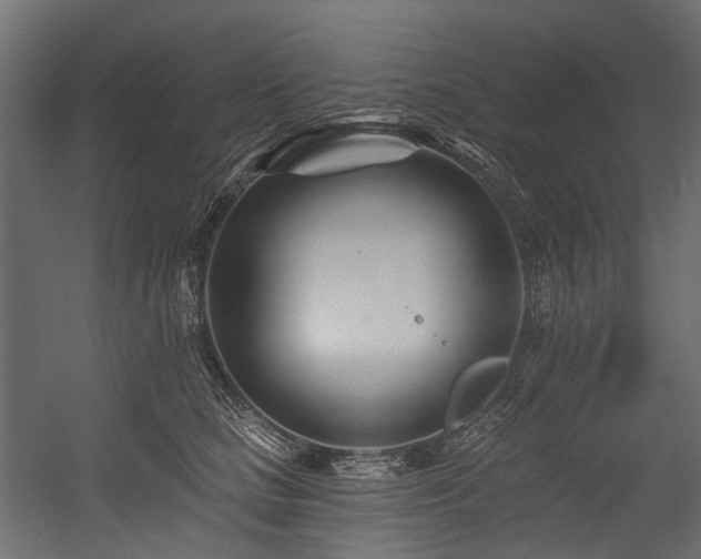 X0000054460661200507291350