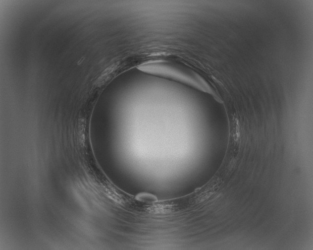 X0000054460664200507291350