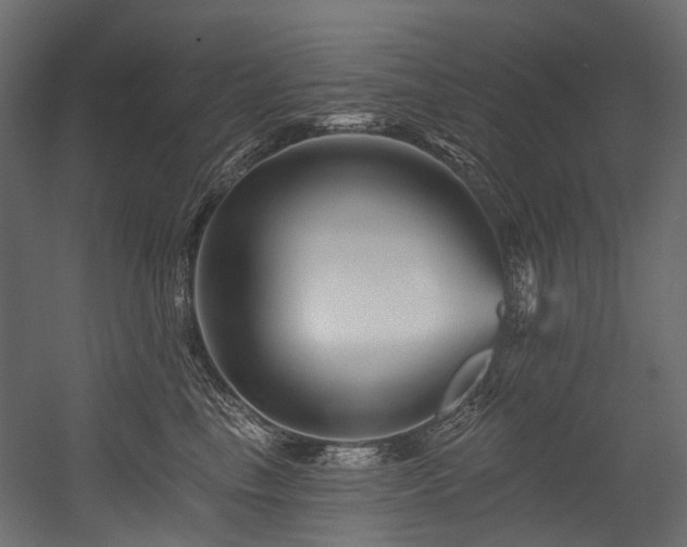 X0000054460665200507291350