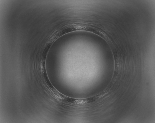 X0000054460667200507291350