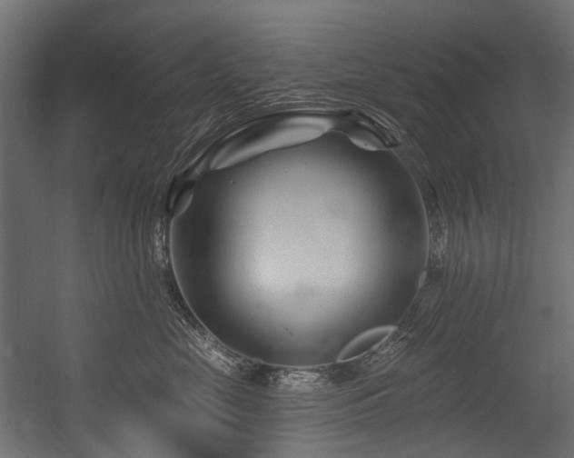 X0000054460669200507291350