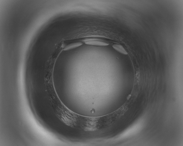 X0000054460671200507291350