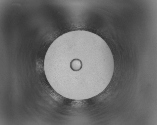 X0000054460672200507291350