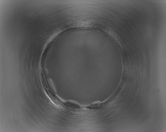 X0000054460674200507291349