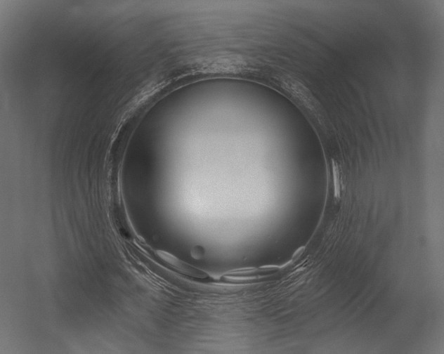 X0000054460675200507291349