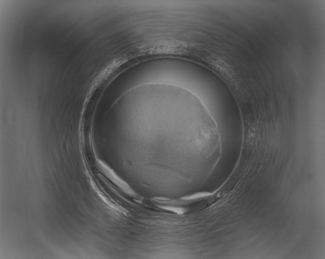 X0000054460678200507291349