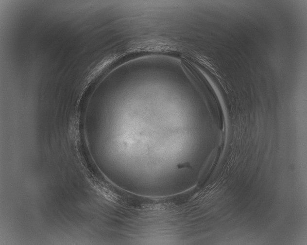 X0000054460679200507291349