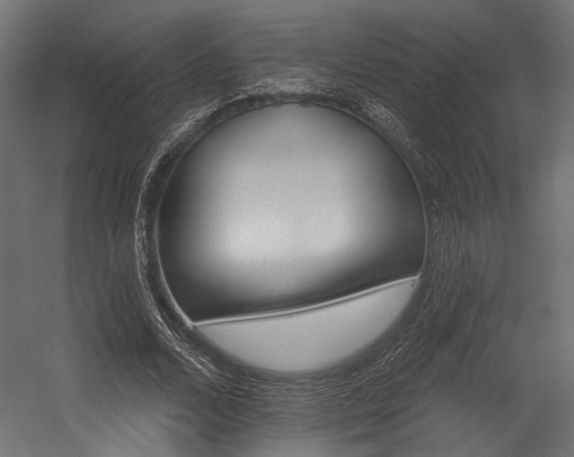 X0000054460680200507291349