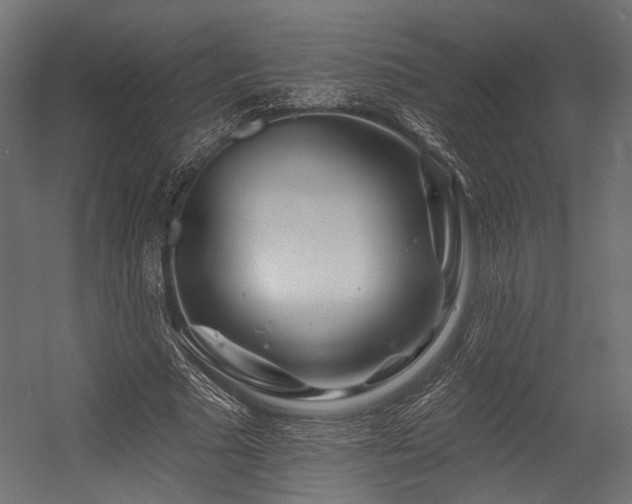 X0000054460681200507291349