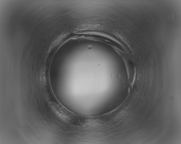 X0000054460682200507291349