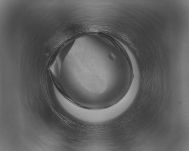 X0000054460683200507291349