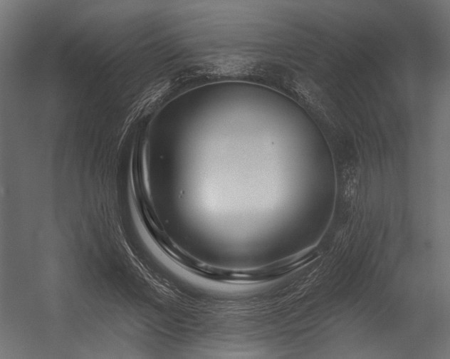 X0000054460685200507291349